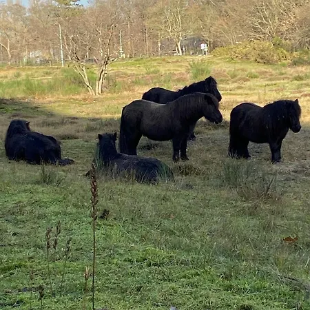 B&B Ereprijs-2